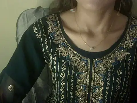 Mehaak_ webcam