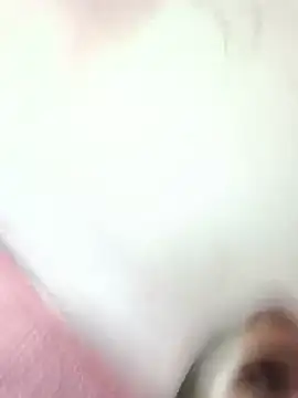 Deepjakolirr webcam