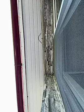 SelineVelvet webcam
