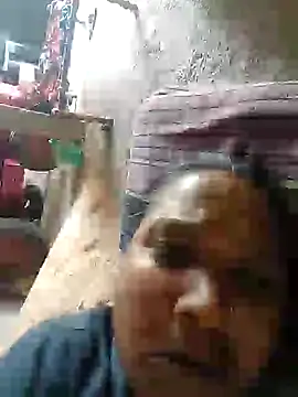Loomaraj webcam