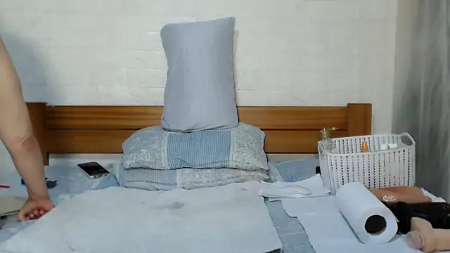 awild_kitten webcam