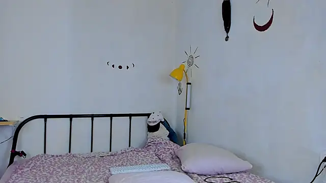 LiyaFly webcam