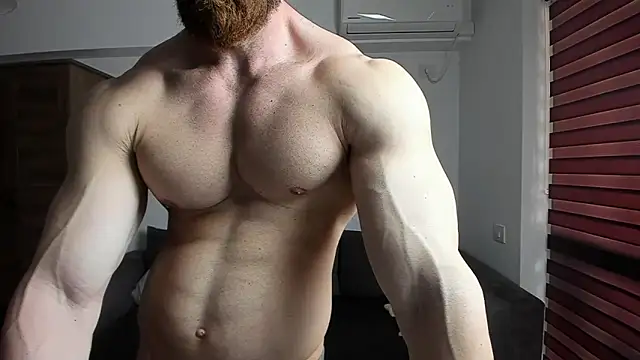 ZkkBlitz webcam