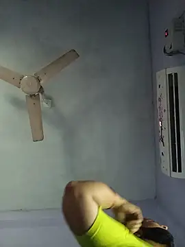 Hansikatelugu webcam