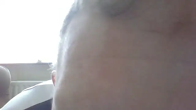 bertolini webcam