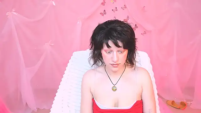 LidaDarknet webcam