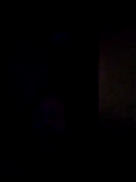AceticPinscher webcam