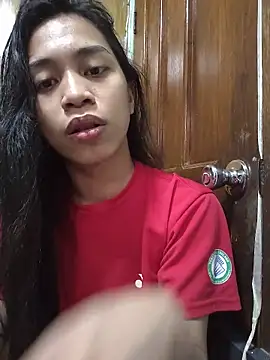 ursassytrans webcam