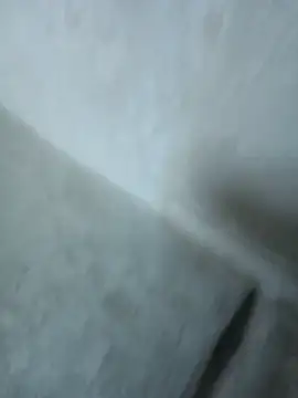 Mona_ji32 webcam