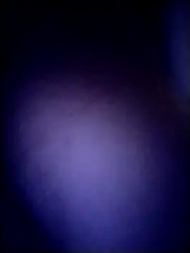 AceticPinscher webcam