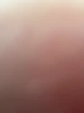 misterjay37 webcam
