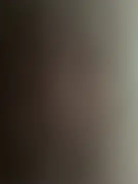 misterjay37 webcam
