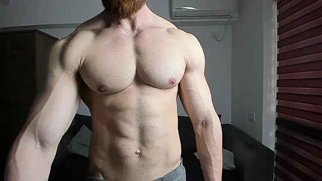 ZkkBlitz webcam