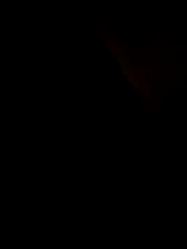 AceticPinscher webcam