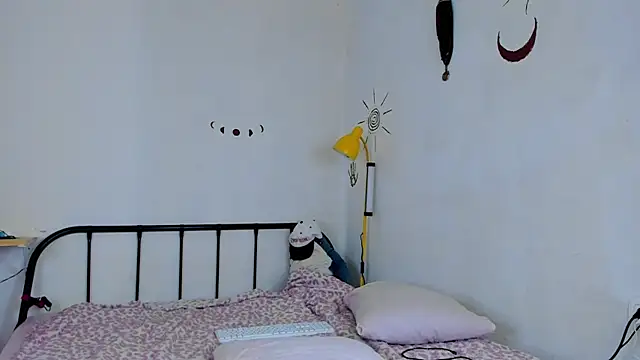 LiyaFly webcam