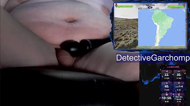 DetChompy webcam