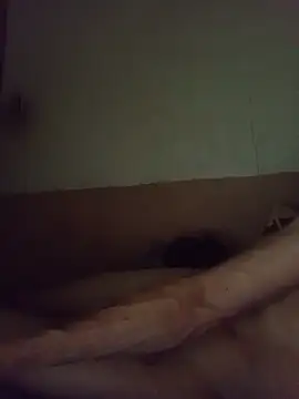 segnini21 webcam