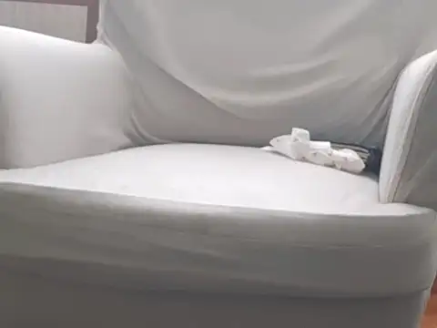 feathersify webcam