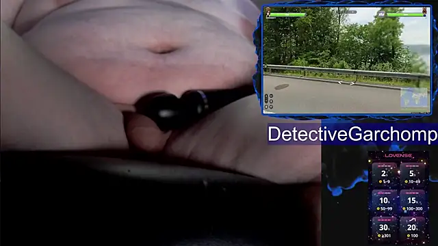 DetChompy webcam