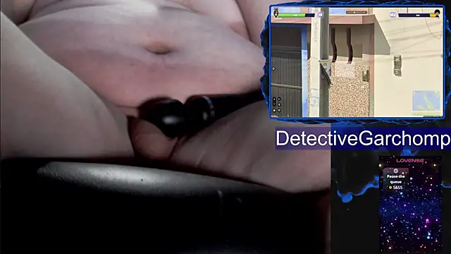 DetChompy webcam