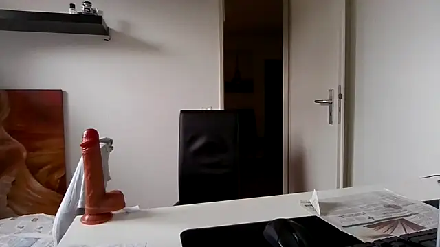 alpha-hunk webcam