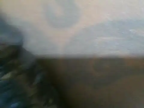 berry_machine webcam