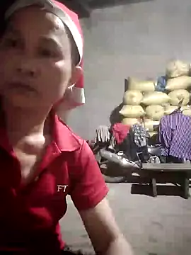 phlin1 webcam