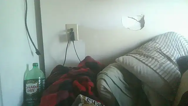 dandonn webcam