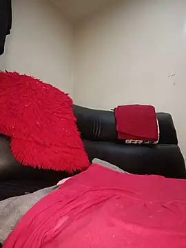 AvaChannel webcam