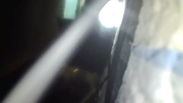 SucculentSexiness0 live sex cam