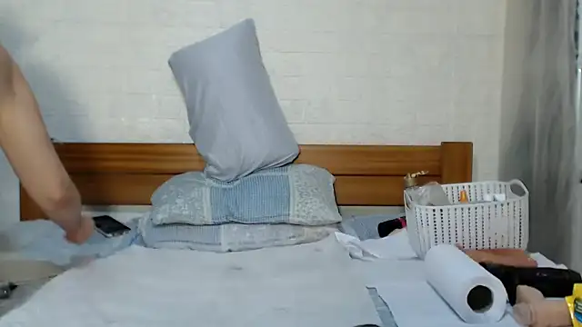 awild_kitten webcam