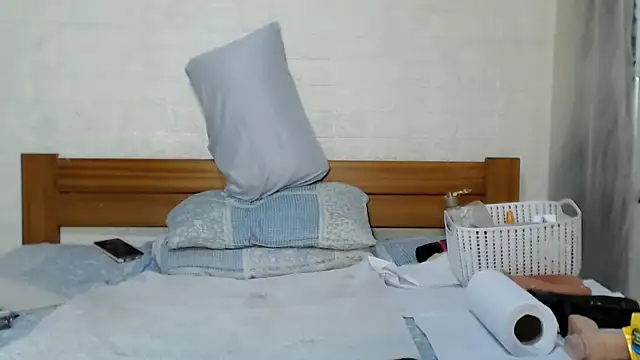awild_kitten webcam