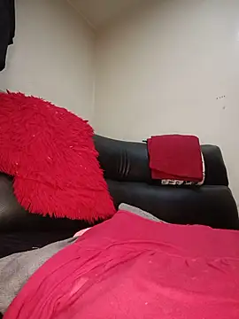 AvaChannel webcam