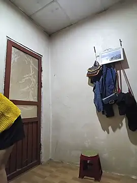 he-se-kin webcam