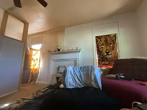 ThrowedWorldWide webcam