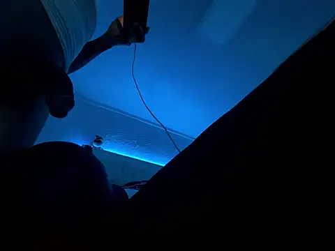 hpcouplee420 webcam