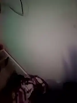 hpcouplee420 webcam