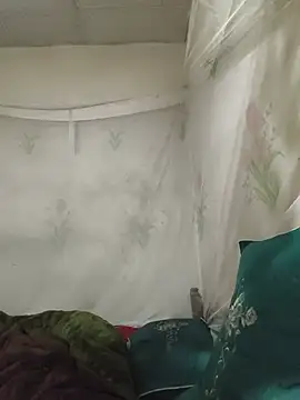 he-se-kin webcam