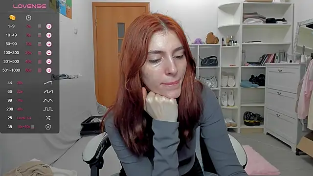 broosnica1 webcam