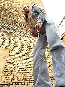 StreetCelebrity webcam