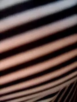 -tara-a - -Tara-a's free webcam - UK Sex Cams