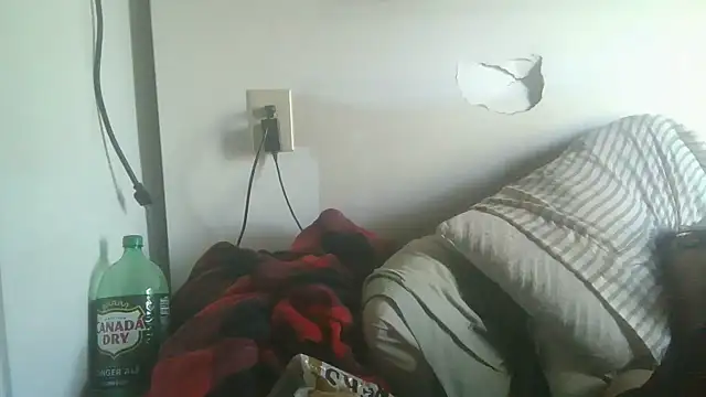 dandonn webcam