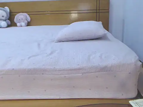 veelittle webcam