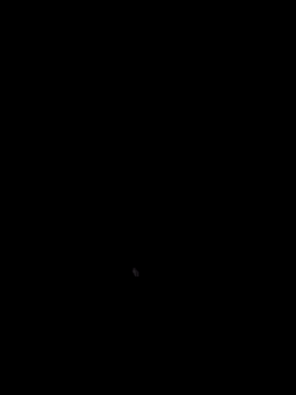 Curious9884 webcam