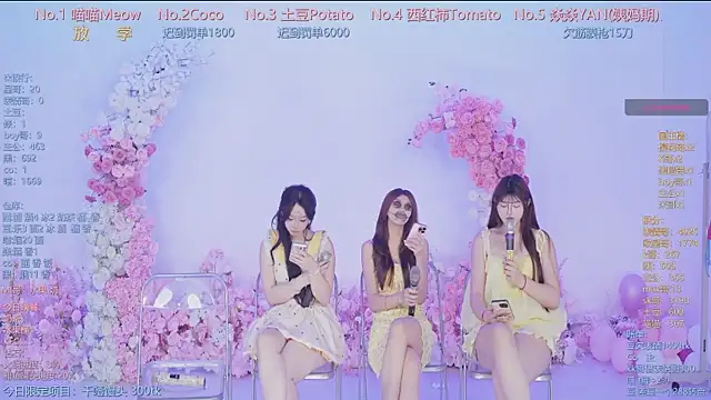 SSF-888 webcam