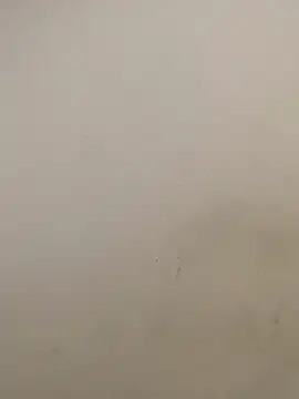 JoaoLenha webcam