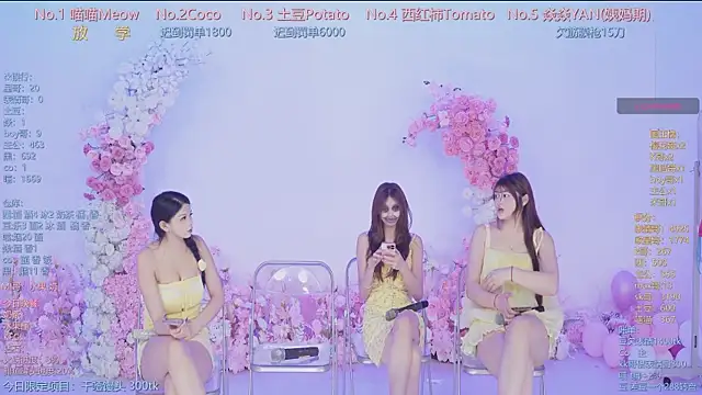 SSF-888 webcam
