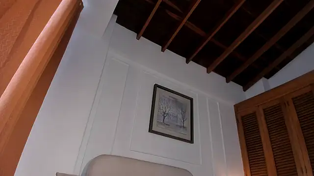 ConnieDeep webcam