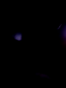 el_sombras webcam