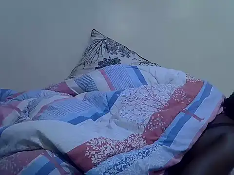 cudlecanvas webcam